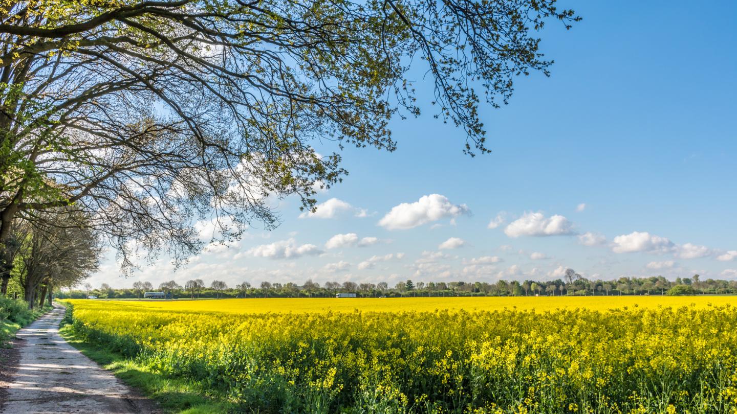 Frühling