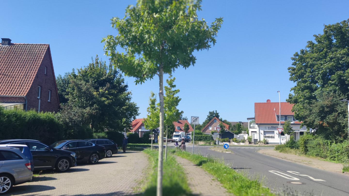 fertiger Baum