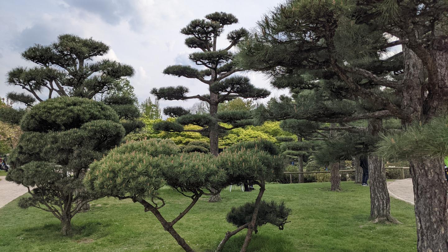 Japangarten