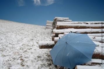 Schmuckbild Winter Regenschirm