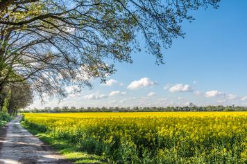 Frühling