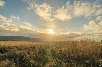 Schmuckbild Sonnenuntergang im Moor