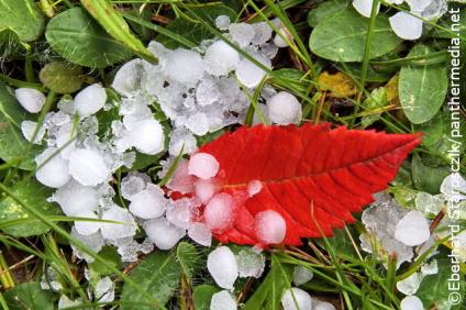 Schmuckbild Hagel