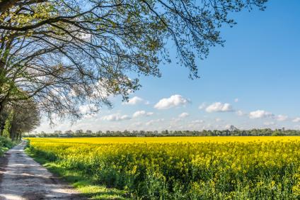 Frühling