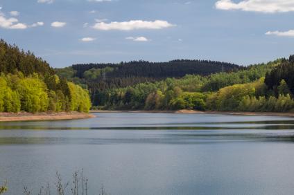 Versetalsperre im Frühling
