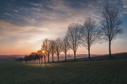 Sonnenuntergang im November