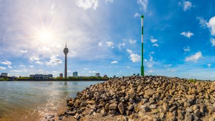 Sommer am Rhein